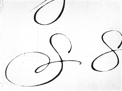 Capital S. calligraphy lettering sketch texture typeface