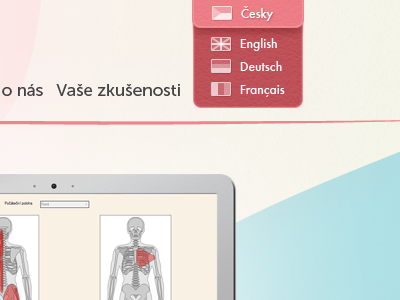 Language Selector mfk select language ui