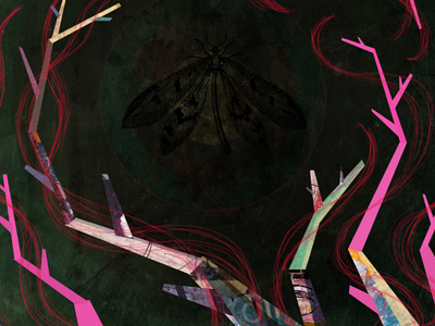 Trapped illustration in progress