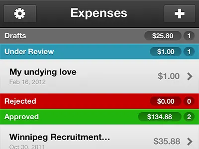 Expenses iphone ui