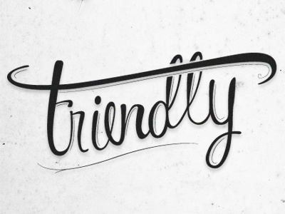 Friendly Custom Script custom friendly moegly script typography vintage