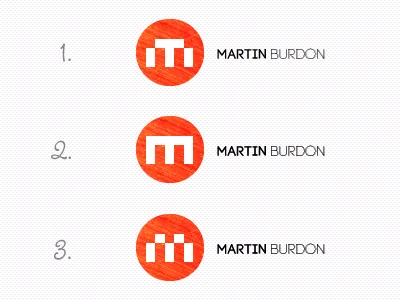 Which logo? branding critique design feedback help logo personal web design