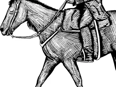 Horse 2 horse illustration merch design scratchboard zeb love