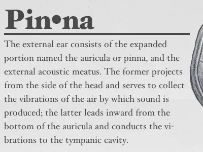 Screen Shot 12.35.23 Pm app mac music player pinna site
