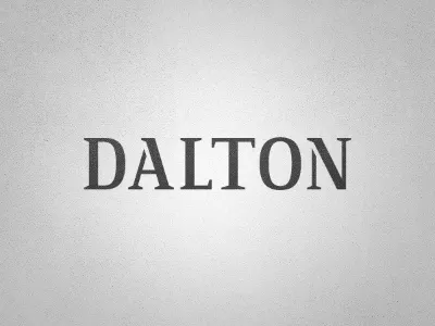 Dalton Consulting WIP coaches loupe custom logo type typography wip wordmark