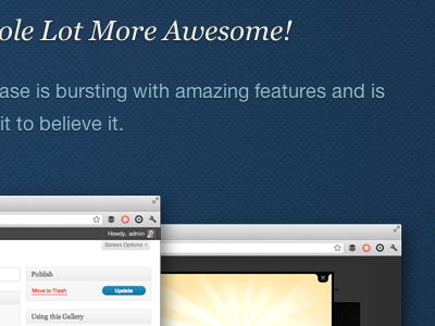 Lot More Awesome new plugin premium wordpress