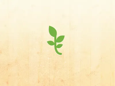 Leaf green leaf nature