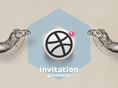 invite one prospector camel dribbble giveaway invitation invite