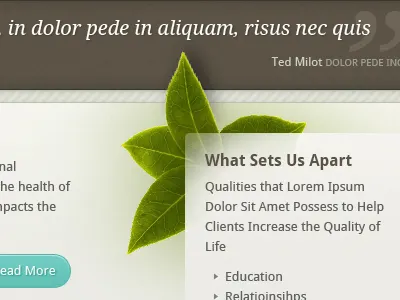 Health & Wellness Homepage excercise health leaf quote website