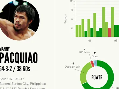 Boxing profile concept boxing charts stats