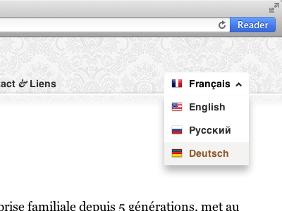 Languages switcher css3 html5