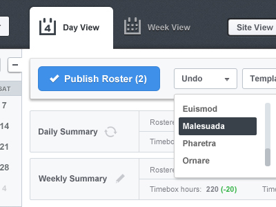 Day view UI button drop down hours icons roster tabs ui view week