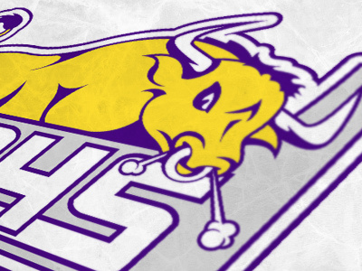 Ephs Floor Hockey Team - 1 bull ephs hockey horns logo smoke sports team