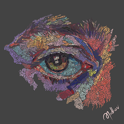 The Eye design graphic design illustration lineart vector