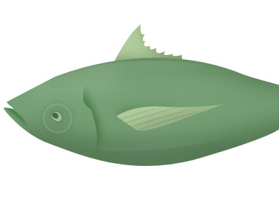 Fish illustration
