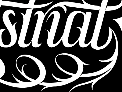 Woolies × 86era WIP1 design digitized hand drawn lettering tshirt type typography vector woolies