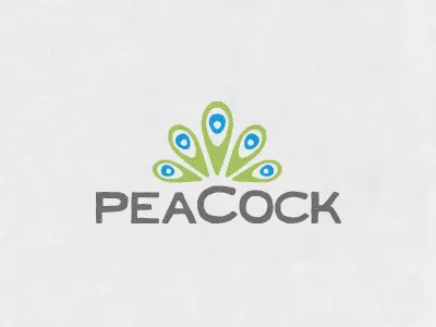 Peacock feather identity logo peacock photography