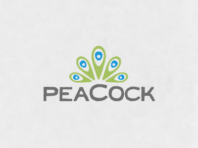 Peacock feather identity logo peacock photography