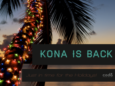 Kona christmas coffee coffee poster kona palm tree poster