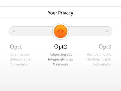 Privacy Slider circle clean iphone mobile retina simple simplicity ui
