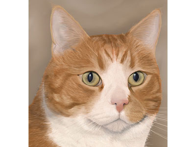 Herman cat digital painting herman painting