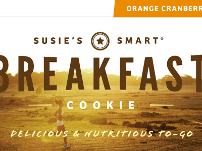 Susie's Smart branding packaging