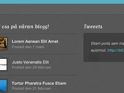 footer dark footer web