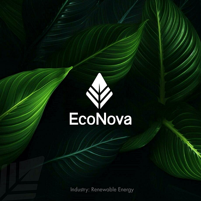 Logo Design: EcoNova branding branding identity logo logo design