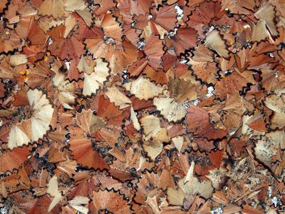 Soul destroying... pencil sharpener shavings