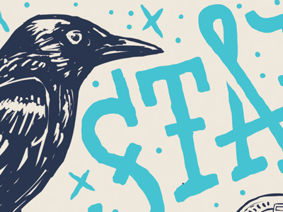 Birds birds