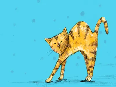 Kitty cat dots illustration orange pencil sketch turkoise