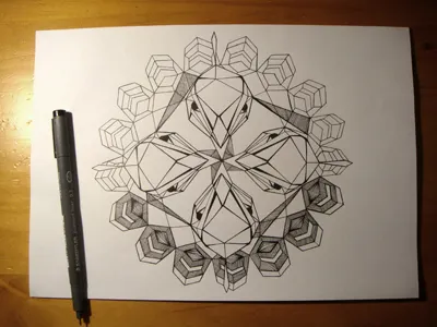 Roue De Paon animal drawing handmade illustration