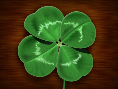 Shamrock 4leaf clover illustration shamrock