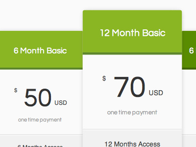 Pricing Table pricing table