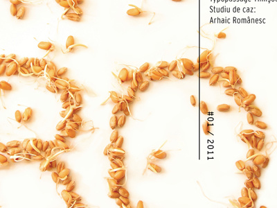 +Minus Magazine Cover Detail cover editorial handmade lettering magazine photograph seeds typography wheat