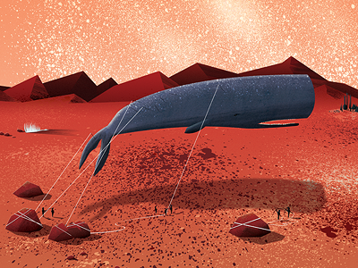 The Hunt hunt landscape print red texture whale