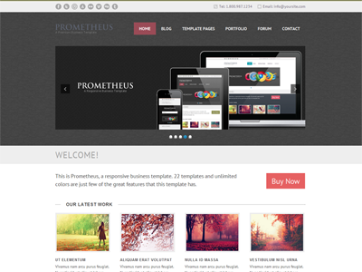 Prometheus - A Responsive WordPress Theme theme website wordpress