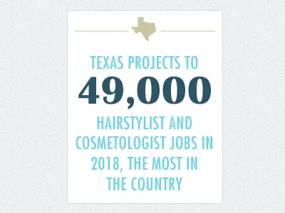 Fact Card card data futura graphic info infographic texas visualization