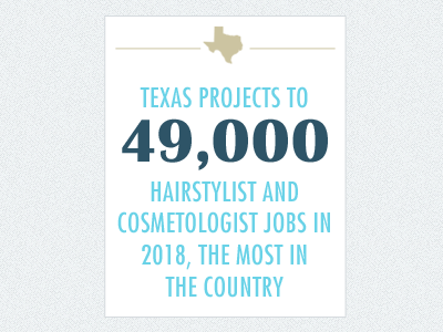 Fact Card card data futura graphic info infographic texas visualization