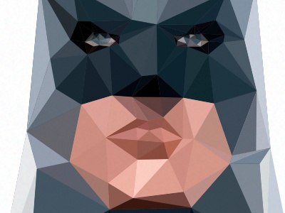 Batman 1 bat batman cubism cubist facets hero human mammal man miller superhero