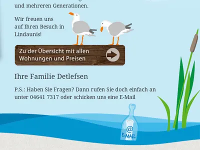 Seagull seagull vector