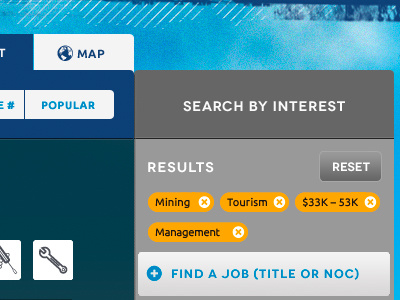 Career Trek Filtering buttons careertrek filtering tabs ui vizd