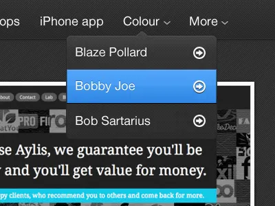 Drop Down dropdown menu navigation