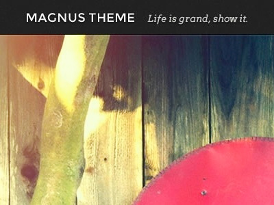 Magnus Theme (sneak-peak) photoblog theme wordpress