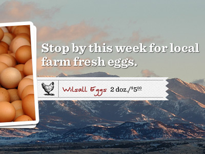 Wilsall Carousel Image debut hfj rookie sentinel web design