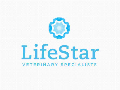 Lifestar Proposed Logo design life logo star transparent veterinary