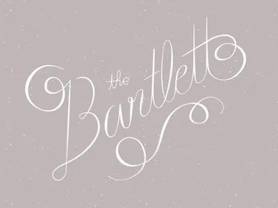 Bartlett identity script typography