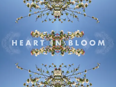 Heart In Bloom album bloom cover design graphic design heart mixtape music photography typography