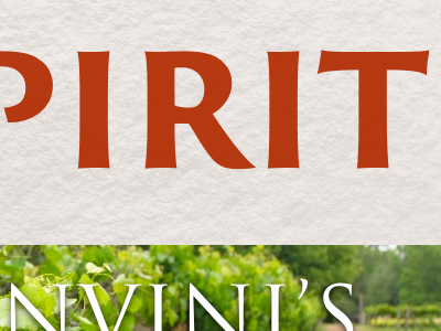 Spirit adobe type css trajan trajan sans typekit typography