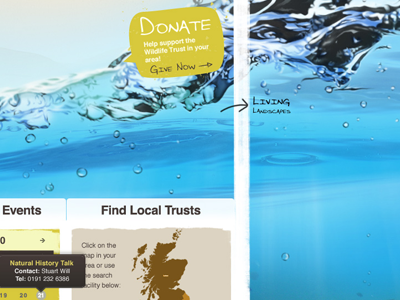 Wildlife Concept creative design graphic design web design